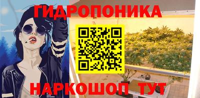 прущие крисы Пенза