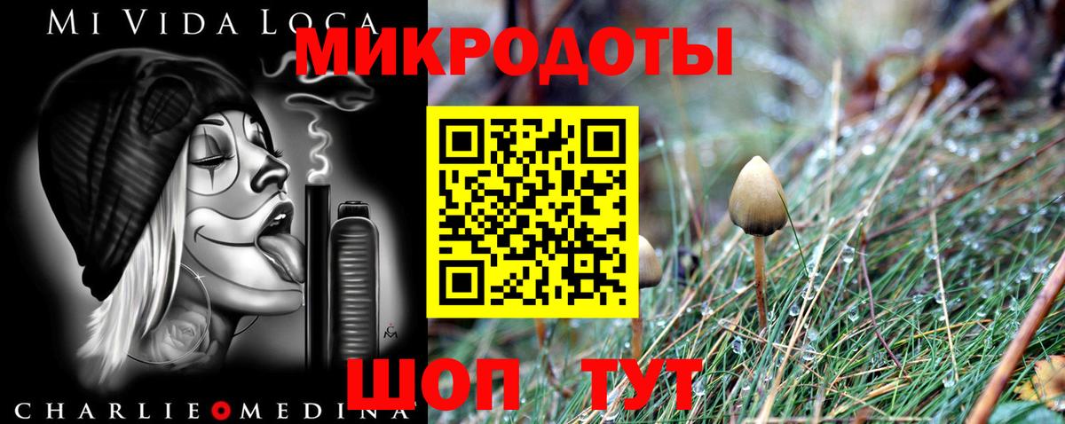 Псилоцибиновые грибы мицелий Протвино