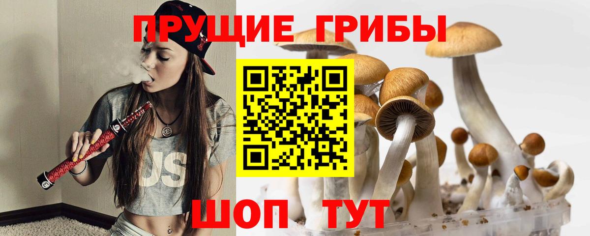 Протвино  Галлюциногенные грибы прущие грибы  Вход с VPN 